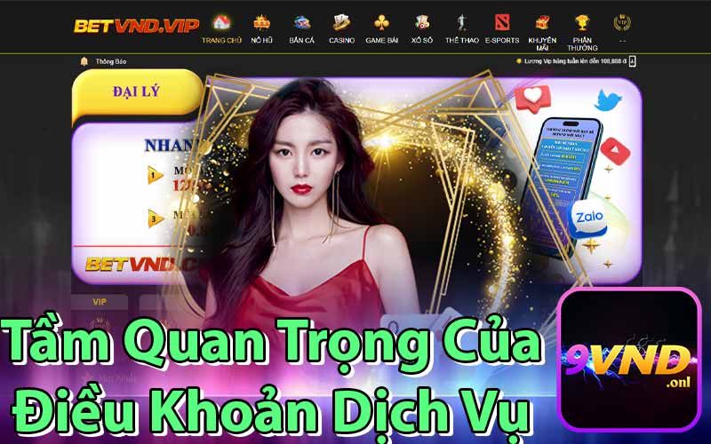 Tầm Quan Trọng Của Điều Khoản Dịch Vụ